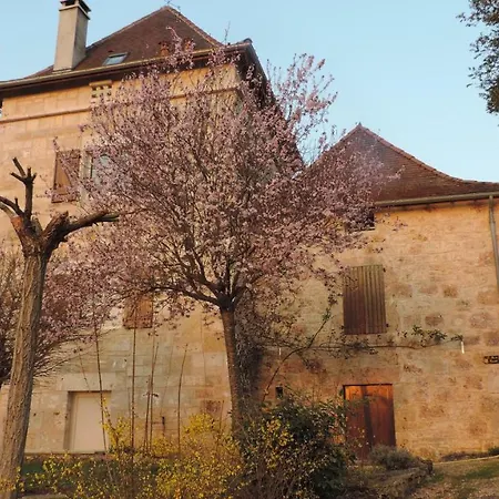 De Cascabel Bed & Breakfast *