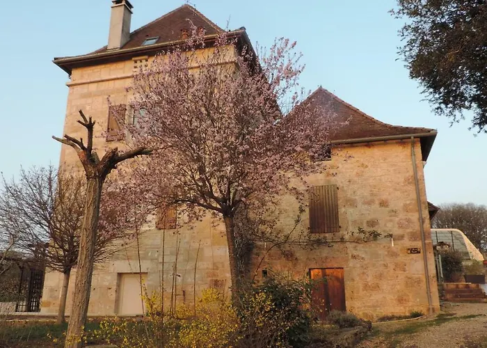 De Cascabel Bed & Breakfast *